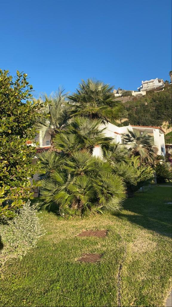 Casa Margherita Ischia Forio  Luaran gambar